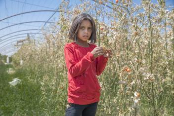 Dou’aa, 10, stands inside her father’s greenhouse in Syria. Here and around the world, the threat of hunger is a daily reality. Scroll through the images above and read below to learn more about global hunger and what can be done to end it. PHOTO: Ezra Millstein/Mercy Corps