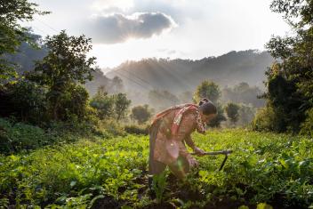 In Nepal, Mercy Corps is supporting smallholder farmers like Sharda to be more resilient to climate change and natural disasters while advancing gender equity and economic development.